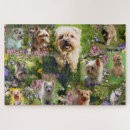 Search for yorkshire terrier puzzles Nature
