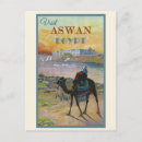 Search for egypt postcards Camel