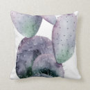 Search for cactus cushions Botanical