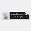 Search for wolfhound home living Cute
