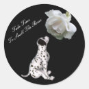 Search for smell stickers Animal