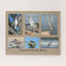 Search for tropical puzzles Wildlife