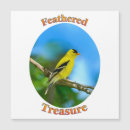 Search for bird stamp magnets Nature