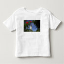 Search for polynesian tshirts Hibiscus