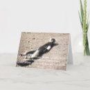 Search for funny man birthday cards Animals