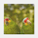 Search for beak square magnets Horizontal