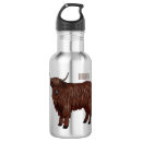 Search for highland cow water bottles Cattle