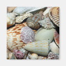 Search for hobbie magnets Water