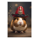 Search for cute guinea pig posters Cavy