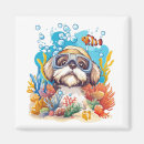 Search for snorkel magnets Ocean