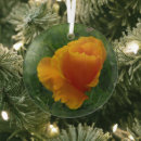 Search for poppies christmas tree decorations Botanical