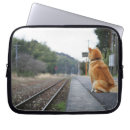 Search for dog training electronics Cute