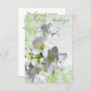 Search for white flowers sympathy thank you cards Floral