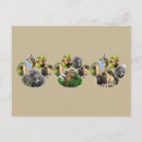 Search for pawprints postcards Animal