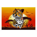 Search for cheetah posters Wild animals