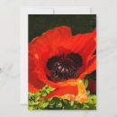 Search for macro photography cards Poppies