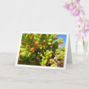 Search for jelly beans cards Pretty