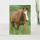Search for gelding cards Sorrel