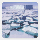 Search for antarctic stickers Icescape