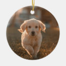 Search for puppy christmas tree decorations Keepsake