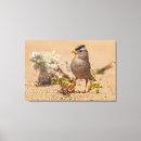 Search for birdwatcher canvas prints Wildlife