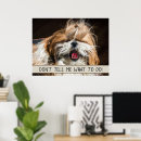 Search for telling posters Funny