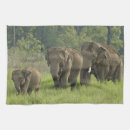 Search for environment tea towels Forest