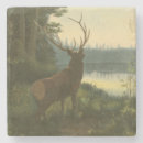 Search for back coasters Nature