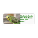 Search for parakeet return address labels Budgie