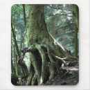 Search for holding photography Nature