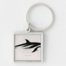 Search for privateer key rings 19th