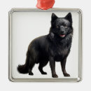 Search for tiny christmas tree decorations Dog