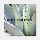 Search for agave magnets Plant