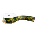 Search for daffodil ribbon Nature