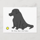 Search for black labrador retriever postcards Funny