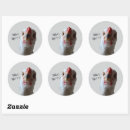 Search for bird egg stickers Hen