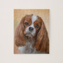 Search for cute cavalier king charles spaniel puzzles Canine