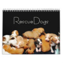 Search for rescue calendars Puppy