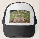 Search for ray hats Funny