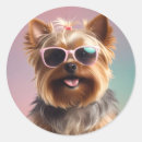 Search for yorkshire terrier stickers Cute