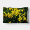 Search for daffodil accessories Nature
