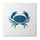 Search for navy blue and white tiles Modern