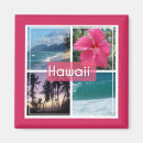 Search for sunset ocean magnets Pink