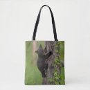 Search for danita delimont tote bags Jaynes gallery