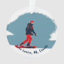 Search for board christmas tree decorations Skiing