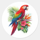 Search for red parrot stickers Animal