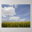 Search for agriculture posters Yellow