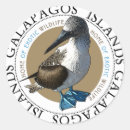 Search for flair stickers Birds