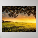 Search for rural posters Summer