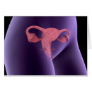 Search for gonad postcards Biomedical illustrations